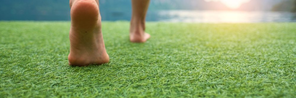 shutterstock_774647548-1